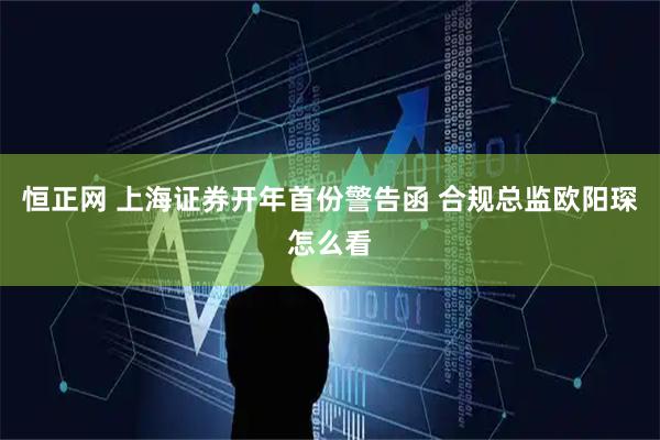 恒正网 上海证券开年首份警告函 合规总监欧阳琛怎么看