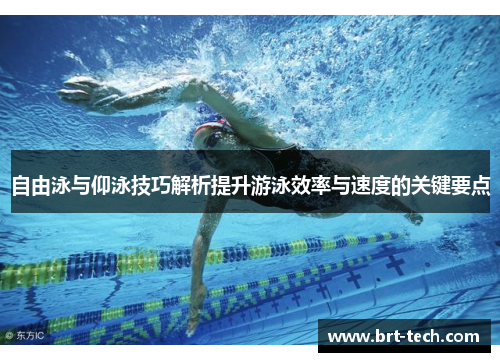 自由泳与仰泳技巧解析提升游泳效率与速度的关键要点