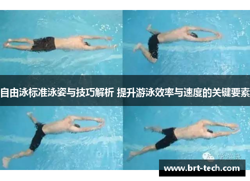 自由泳标准泳姿与技巧解析 提升游泳效率与速度的关键要素