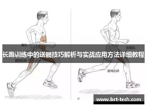 长跑训练中的送髋技巧解析与实战应用方法详细教程